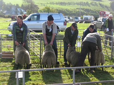 The prize-winners are chosen at Yetholm Show.